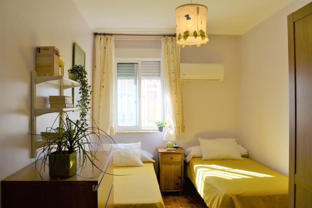 El Apartamento De Trini Seville Exterior photo